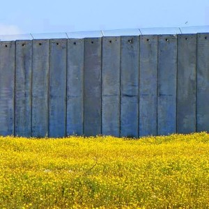 il muro e la primavera