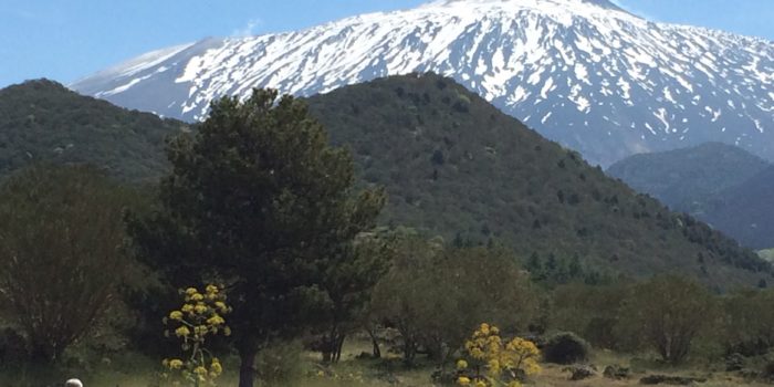 La pace in cammino: itinerario di spiritualità della pace lungo i sentieri dell’Etna