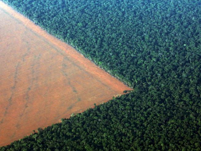 Notizie dalla Amazzonia (dal Manifesto.it)