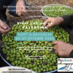 20-27 ottobre, Tutt* a raccolta – viaggio in Palestina