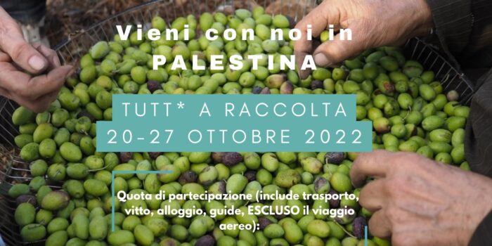 20-27 ottobre, Tutt* a raccolta – viaggio in Palestina