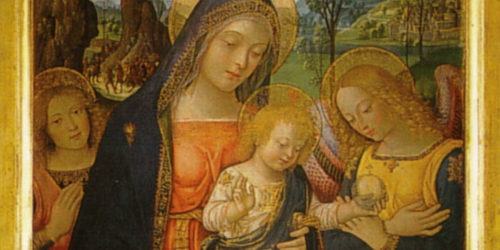 12 Raccolti: In compagnia di Maria … giovane e innamorata