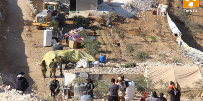 Vieni in Palestina con noi