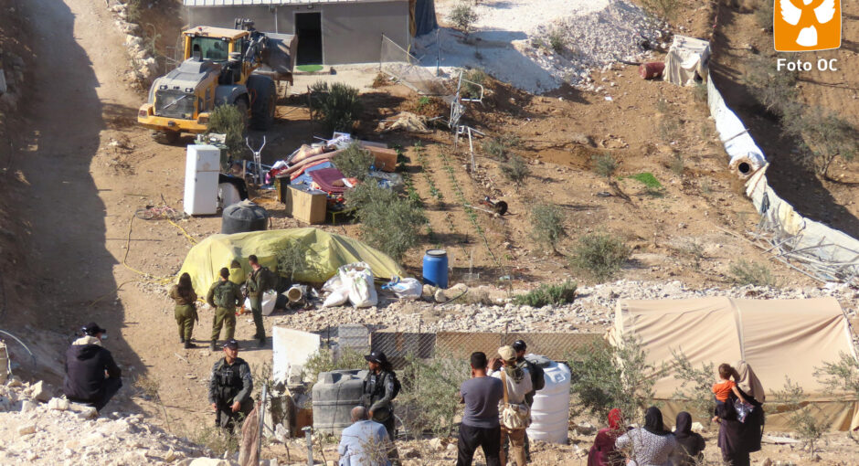 Vieni in Palestina con noi