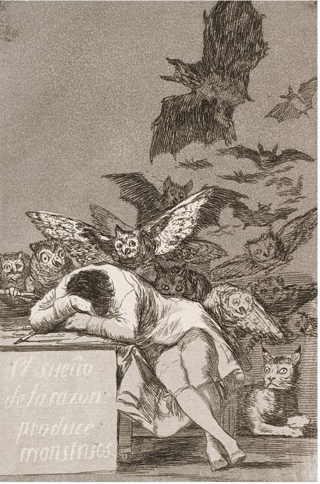 “Il sonno della ragione genera mostri”- Sveglia, prima che sia tardi!